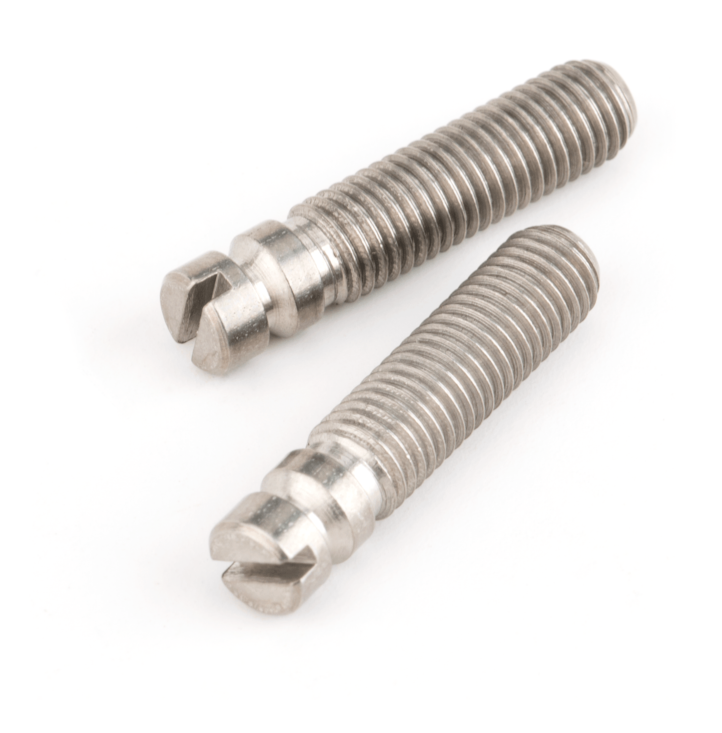 Bridge Pivot Screws (2)