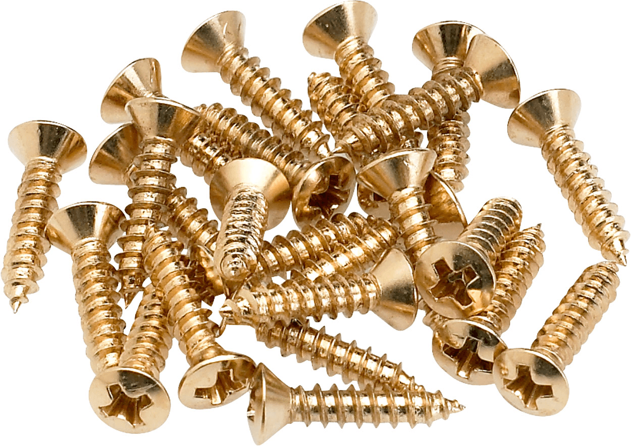 Pickguard - Control Plate Mounting Screws (24)