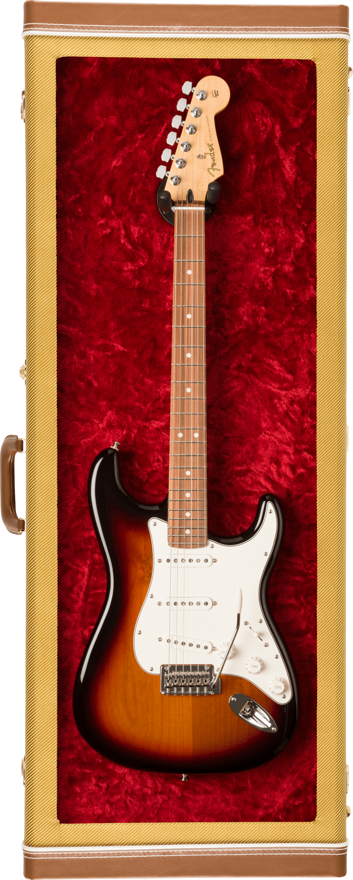 Guitar Display Cases