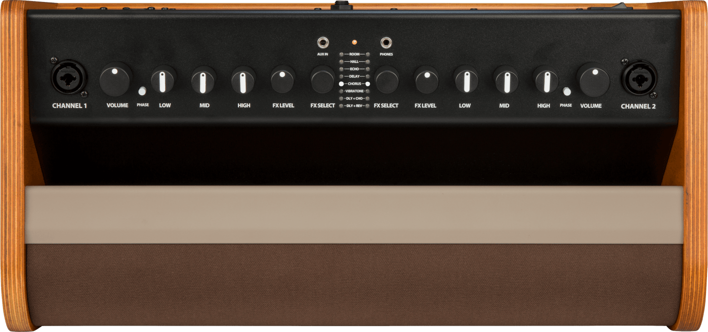 Acoustic 100